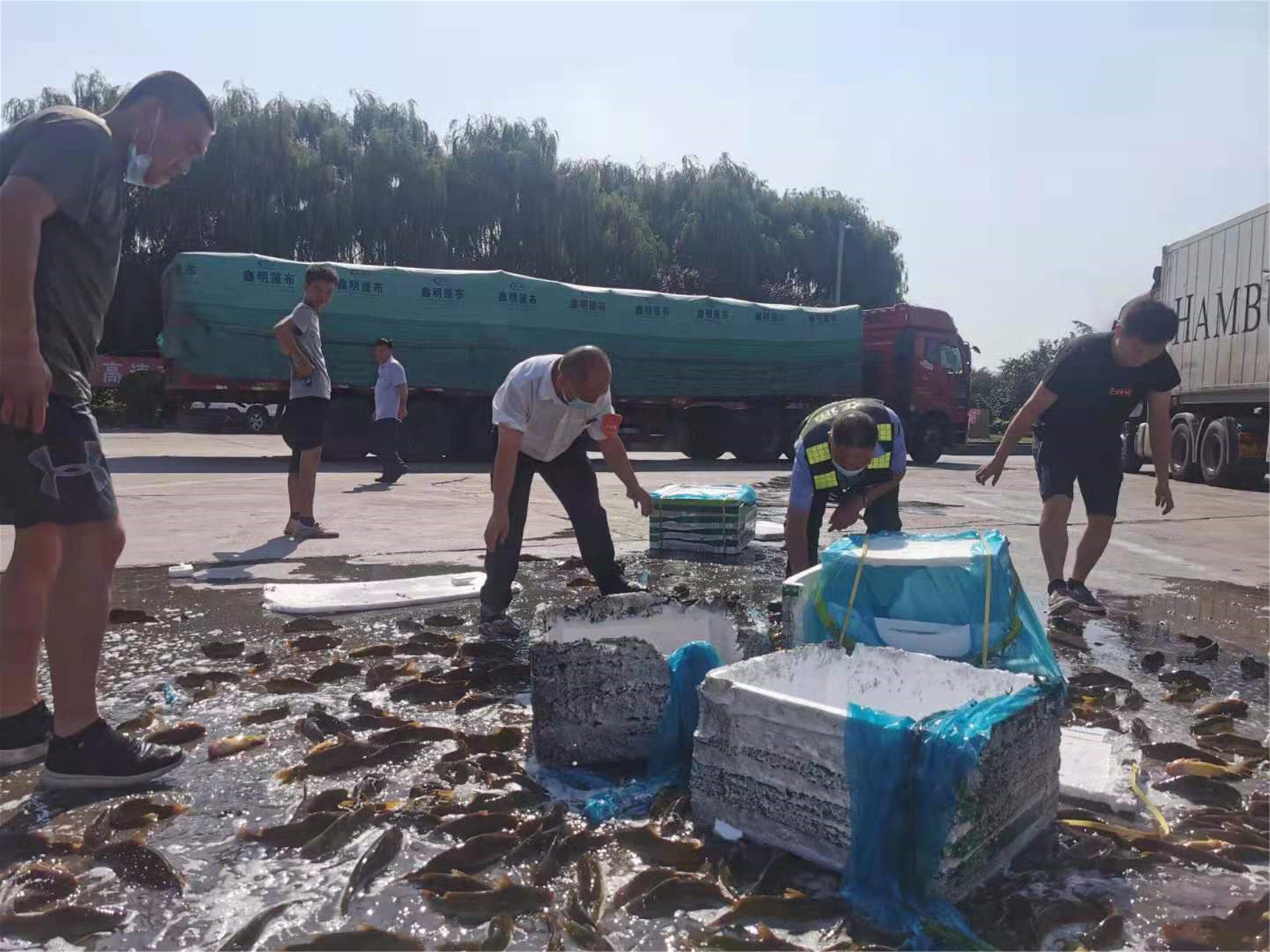 許 (1)_proc.jpg 許 (1)_proc.jpg